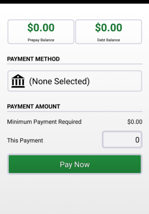 Snap Energy Latino Mobile App Make A Payment